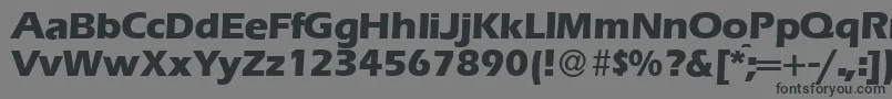 Шрифт E820SansXboldRegular – чёрные шрифты на сером фоне