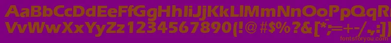 E820SansXboldRegular Font – Brown Fonts on Purple Background