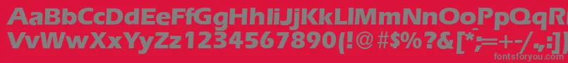 E820SansXboldRegular Font – Gray Fonts on Red Background