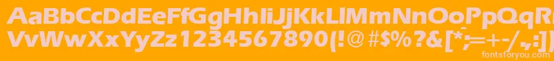 E820SansXboldRegular Font – Pink Fonts on Orange Background