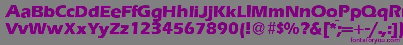 Czcionka E820SansXboldRegular – fioletowe czcionki na szarym tle