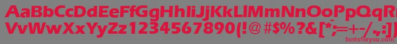 E820SansXboldRegular Font – Red Fonts on Gray Background