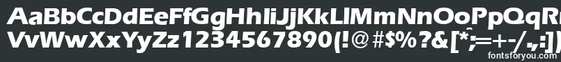 Шрифт E820SansXboldRegular – белые шрифты на чёрном фоне