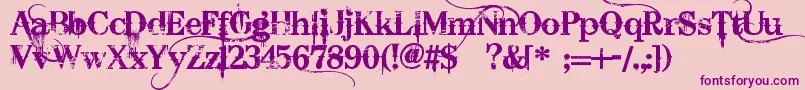 BleedingCowboys Font – Purple Fonts on Pink Background