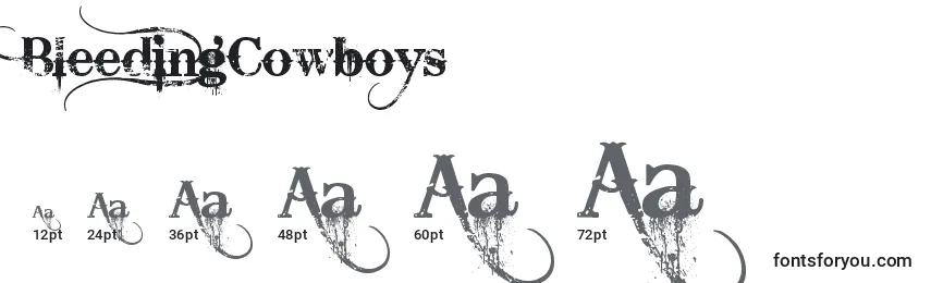 Размеры шрифта BleedingCowboys