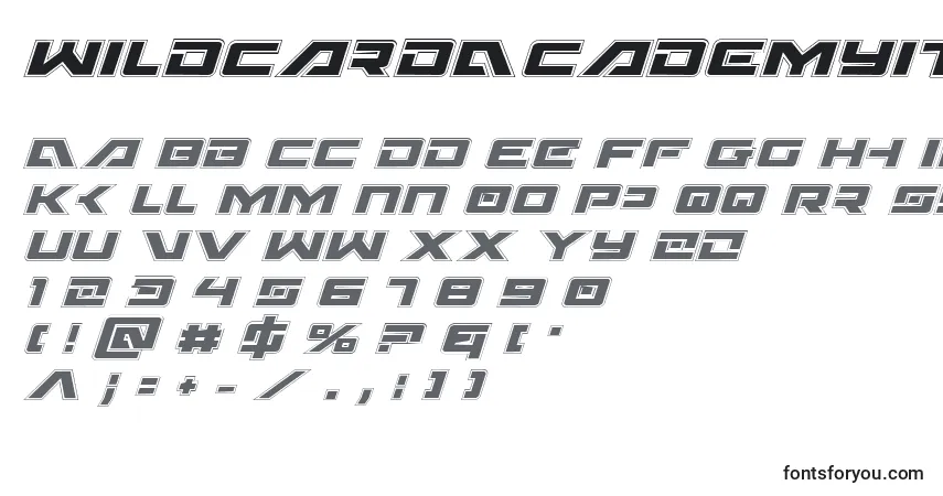 Czcionka WildcardAcademyItalic – alfabet, cyfry, specjalne znaki