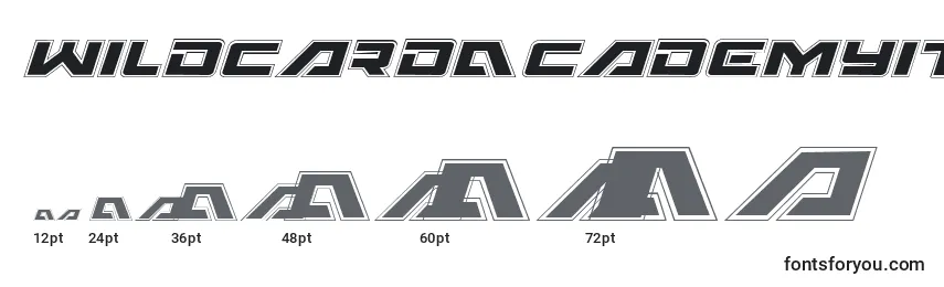 WildcardAcademyItalic Font Sizes