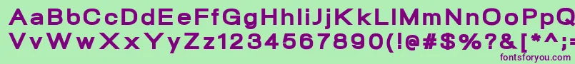 NeogramHeavyextd Font – Purple Fonts on Green Background