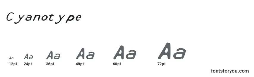 Размеры шрифта Cyanotype