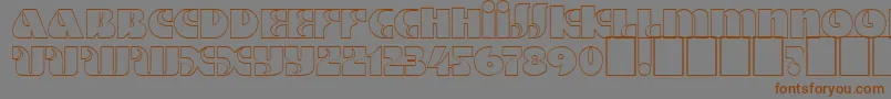 Шрифт Dsmotterho – коричневые шрифты на сером фоне
