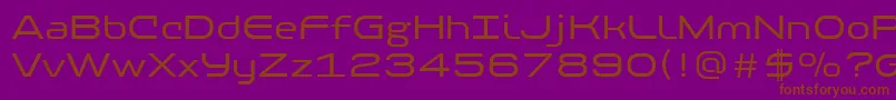 PfbaselineproRegular Font – Brown Fonts on Purple Background