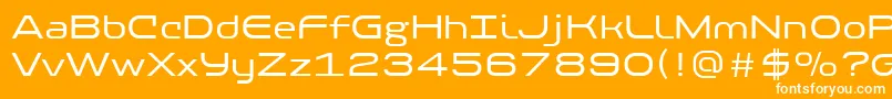 PfbaselineproRegular Font – White Fonts on Orange Background