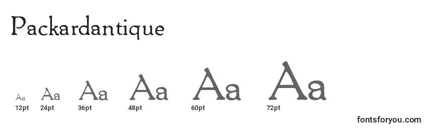 Packardantique Font Sizes