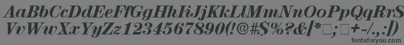 フォントLuciaDisplaySsiItalic – 黒い文字の灰色の背景
