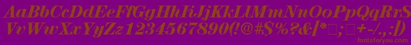 Czcionka LuciaDisplaySsiItalic – brązowe czcionki na fioletowym tle