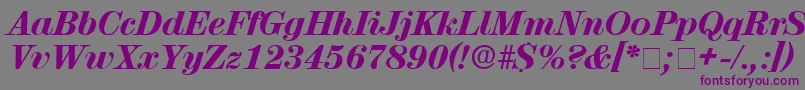 LuciaDisplaySsiItalic-Schriftart – Violette Schriften auf grauem Hintergrund