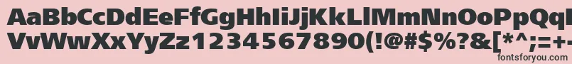 Frs95C Font – Black Fonts on Pink Background