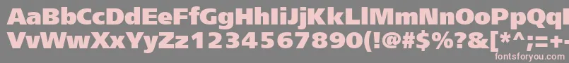 Frs95C Font – Pink Fonts on Gray Background