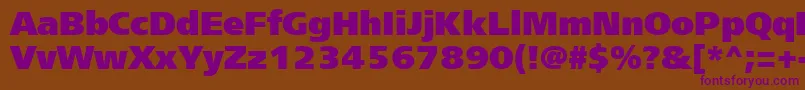 Frs95C Font – Purple Fonts on Brown Background