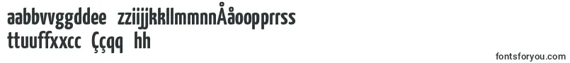 Yanonekaffeesatz Font – Uzbek Fonts