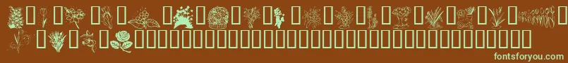 Czcionka KrSpringMeToo – zielone czcionki na brązowym tle
