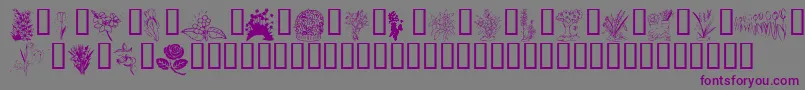 KrSpringMeToo-fontti – violetit fontit harmaalla taustalla