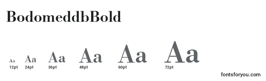 BodomeddbBold Font Sizes