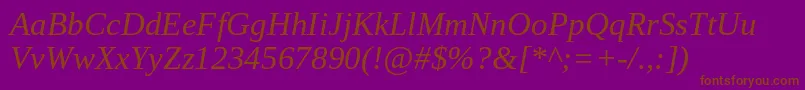 TinosItalic Font – Brown Fonts on Purple Background