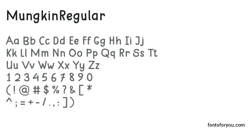 Schriftart MungkinRegular – Alphabet, Zahlen, spezielle Symbole