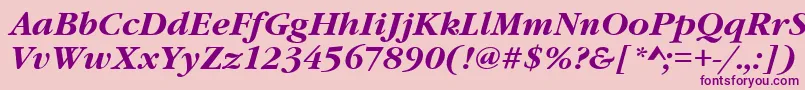 GaramondItcTBoldItalic Font – Purple Fonts on Pink Background