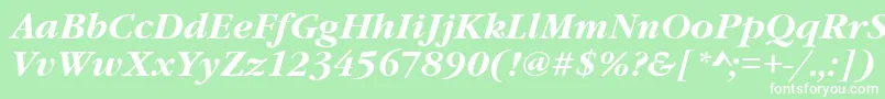 GaramondItcTBoldItalic Font – White Fonts on Green Background