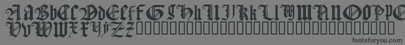 フォントGothicTextureQuadrata – 黒い文字の灰色の背景