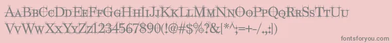 MaychurchRegular Font – Gray Fonts on Pink Background