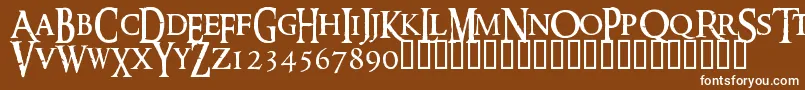 フォントRingm – 茶色の背景に白い文字