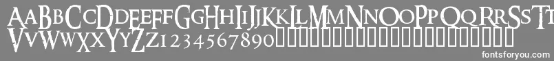 フォントRingm – 灰色の背景に白い文字