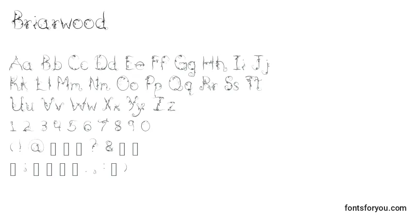 Шрифт Briarwood – алфавит, цифры, специальные символы