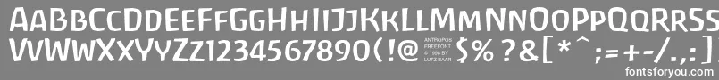 Шрифт AntroposFreefont – белые шрифты на сером фоне