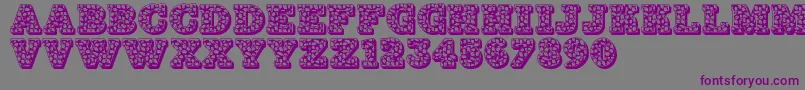 Jfholnte Font – Purple Fonts on Gray Background