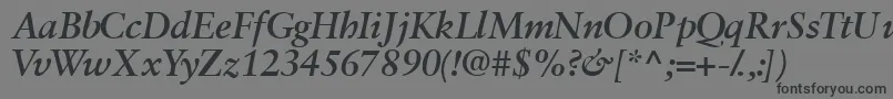 Garamondretrospectivessk ffy Font – Black Fonts on Gray Background