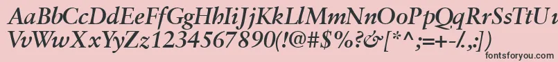 Garamondretrospectivessk ffy Font – Black Fonts on Pink Background