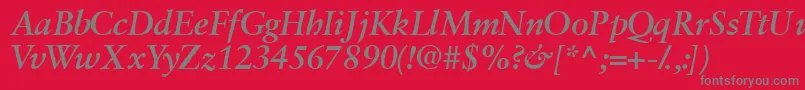 Garamondretrospectivessk ffy Font – Gray Fonts on Red Background