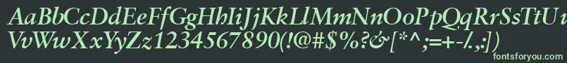 Garamondretrospectivessk ffy Font – Green Fonts on Black Background