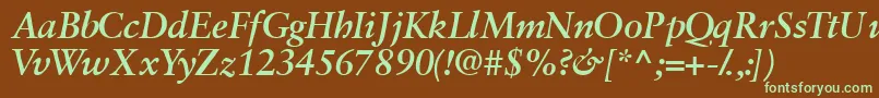 Garamondretrospectivessk ffy Font – Green Fonts on Brown Background