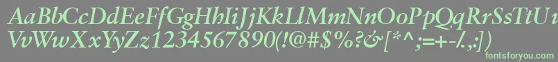 Garamondretrospectivessk ffy Font – Green Fonts on Gray Background