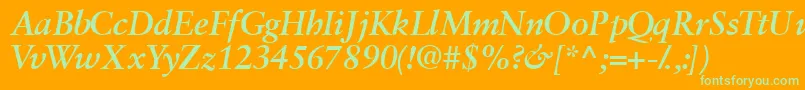 Garamondretrospectivessk ffy Font – Green Fonts on Orange Background