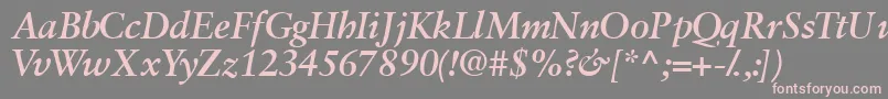 Garamondretrospectivessk ffy Font – Pink Fonts on Gray Background