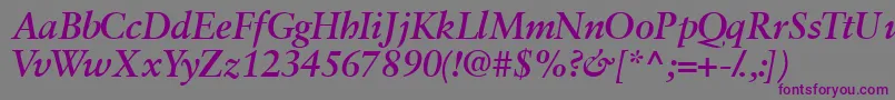 Garamondretrospectivessk ffy Font – Purple Fonts on Gray Background