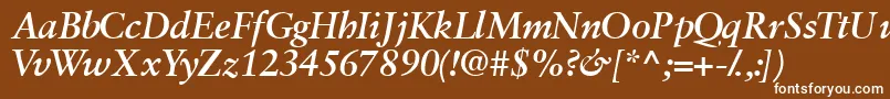 Garamondretrospectivessk ffy Font – White Fonts on Brown Background