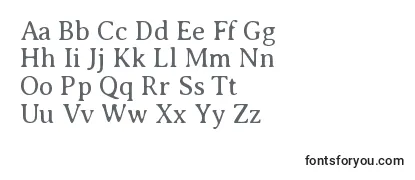 AveriaseriflibreLight Font