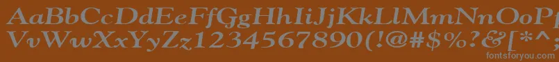 GildebroadBoldItalic Font – Gray Fonts on Brown Background